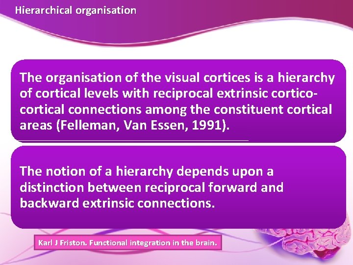 Hierarchical organisation The organisation of the visual cortices is a hierarchy of cortical levels Hierarchical organisation The organisation of the visual cortices is a hierarchy of cortical levels
