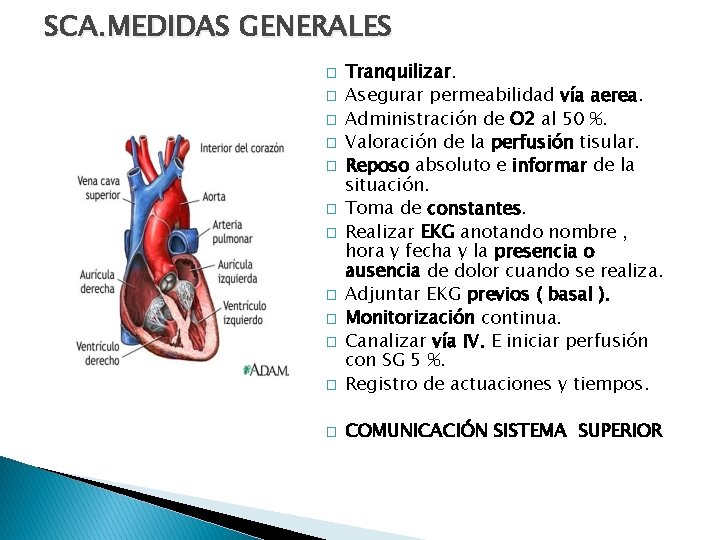 SCA. MEDIDAS GENERALES � Tranquilizar. Asegurar permeabilidad vía aerea. Administración de O 2 al