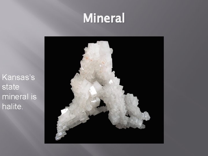 Mineral Kansas’s state mineral is halite. 