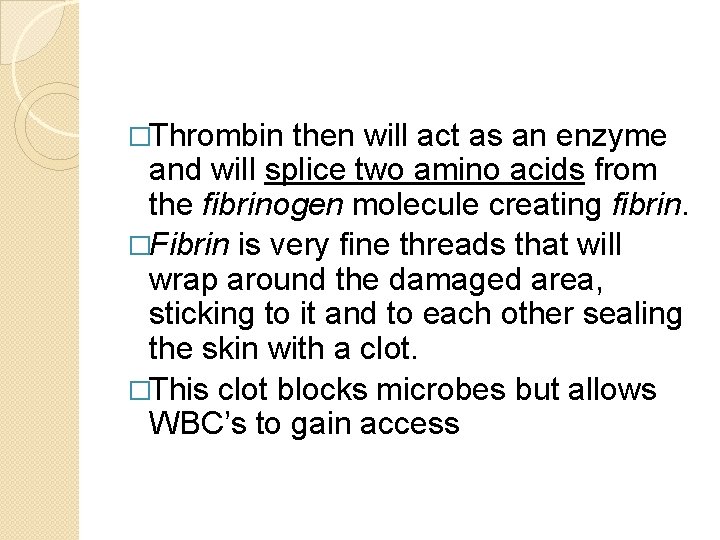 �Thrombin then will act as an enzyme and will splice two amino acids from