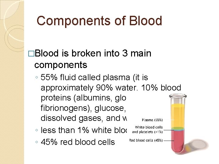 Components of Blood �Blood is broken into 3 main components ◦ 55% fluid called