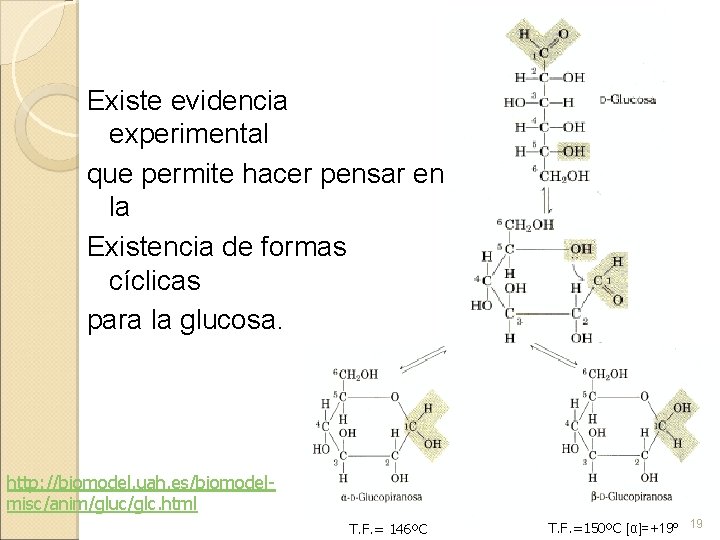 Existe evidencia experimental que permite hacer pensar en la Existencia de formas cíclicas para