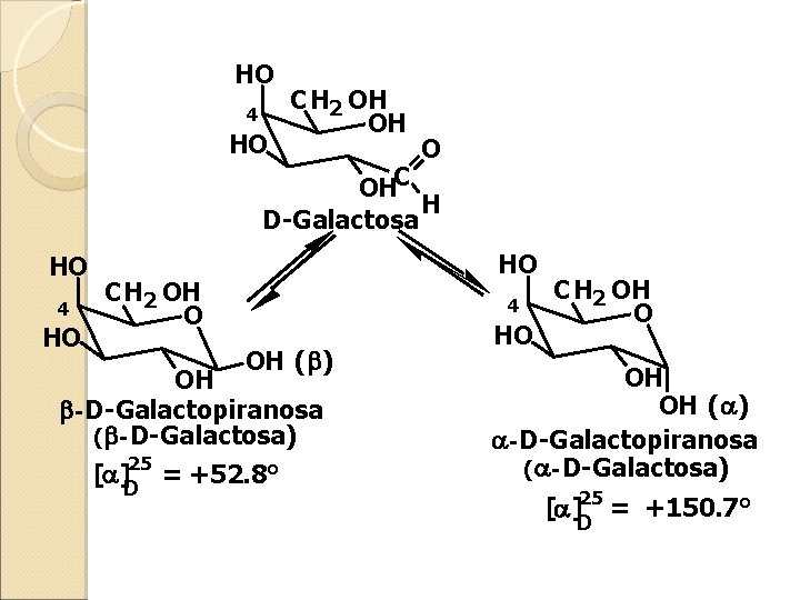 HO 4 HO CH 2 OH OH O OHC H D-Galactosa HO 4 HO