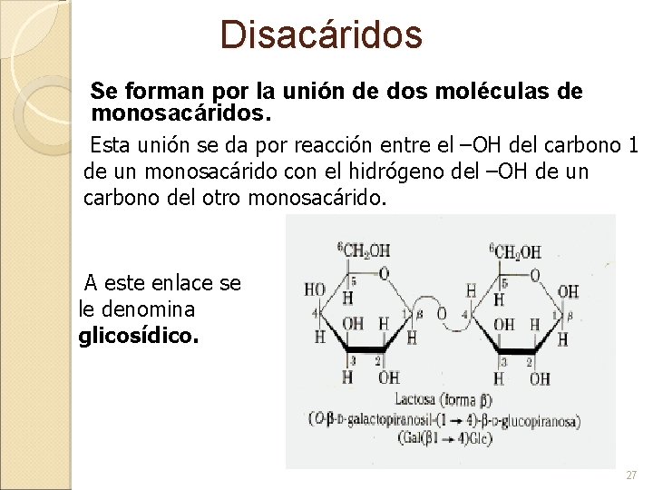 Disacáridos Se forman por la unión de dos moléculas de monosacáridos. Esta unión se