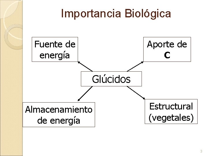 Importancia Biológica Fuente de energía Aporte de C Glúcidos Almacenamiento de energía Estructural (vegetales)