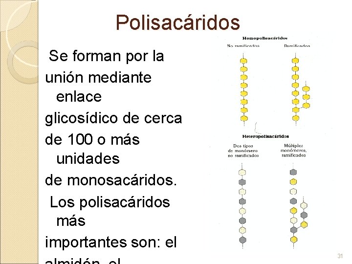 Polisacáridos Se forman por la unión mediante enlace glicosídico de cerca de 100 o