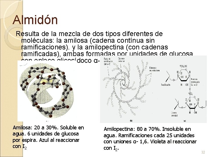 Almidón Resulta de la mezcla de dos tipos diferentes de moléculas: la amilosa (cadena