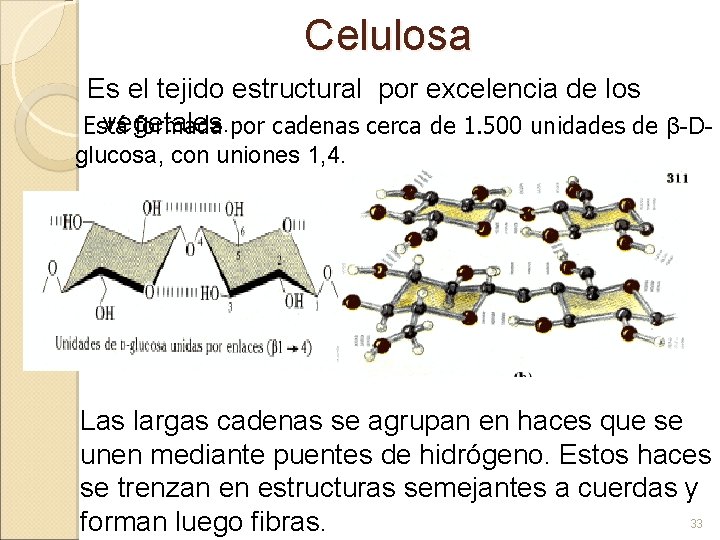 Celulosa Es el tejido estructural por excelencia de los vegetales. Está formada por cadenas