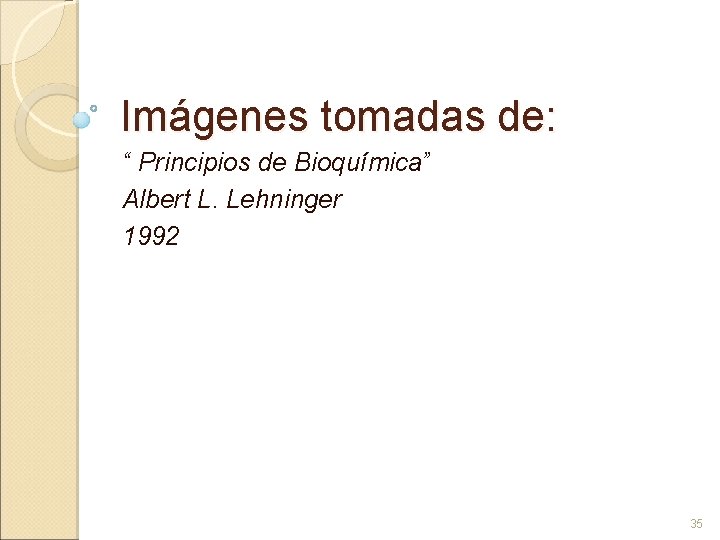 Imágenes tomadas de: “ Principios de Bioquímica” Albert L. Lehninger 1992 35 