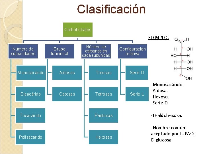 Clasificación Carbohidratos EJEMPLO: Número de subunidades Monosacárido Disacárido Trisacárido Polisacárido Grupo funcional Aldosas Cetosas