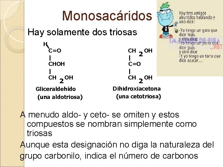 Monosacáridos Hay solamente dos triosas H C=O CH CHOH C=O CH CH 2 OH