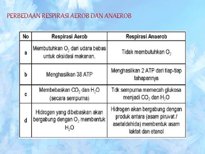 PERBEDAAN RESPIRASI AEROB DAN ANAEROB 