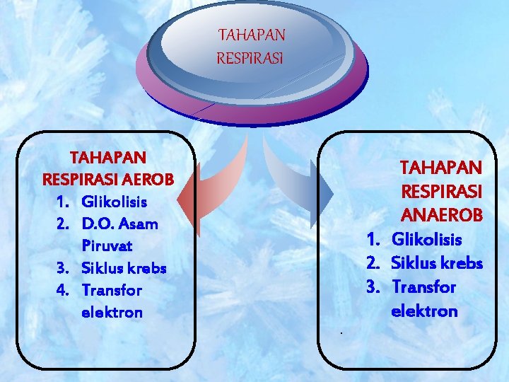 TAHAPAN RESPIRASI AEROB 1. Glikolisis 2. D. O. Asam Piruvat 3. Siklus krebs 4.