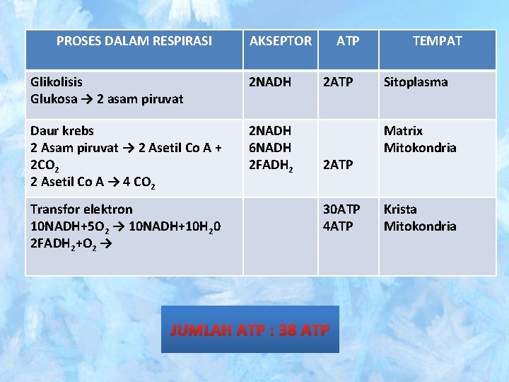 PROSES DALAM RESPIRASI AKSEPTOR Glikolisis Glukosa → 2 asam piruvat 2 NADH Daur krebs