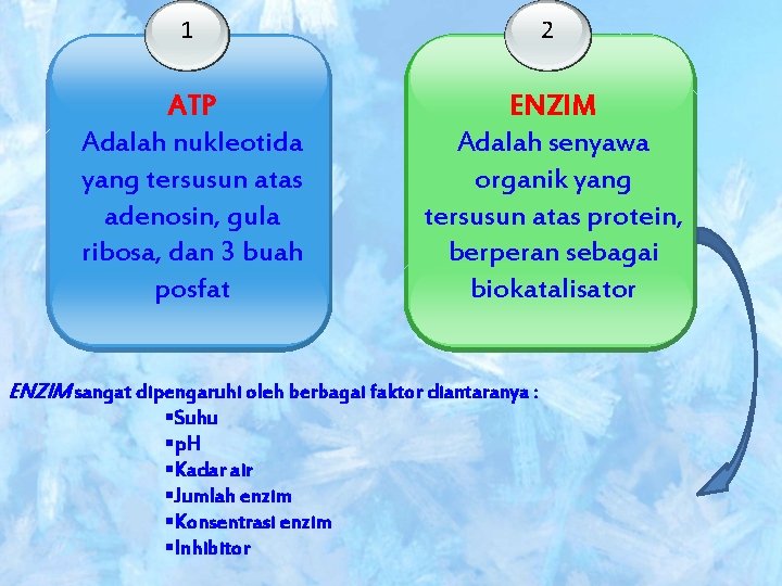 1 2 ATP Adalah nukleotida yang tersusun atas adenosin, gula ribosa, dan 3 buah