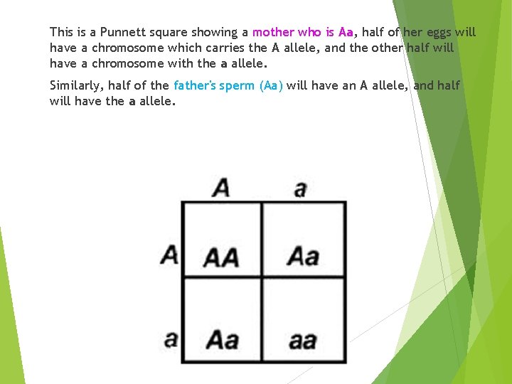This is a Punnett square showing a mother who is Aa, half of her