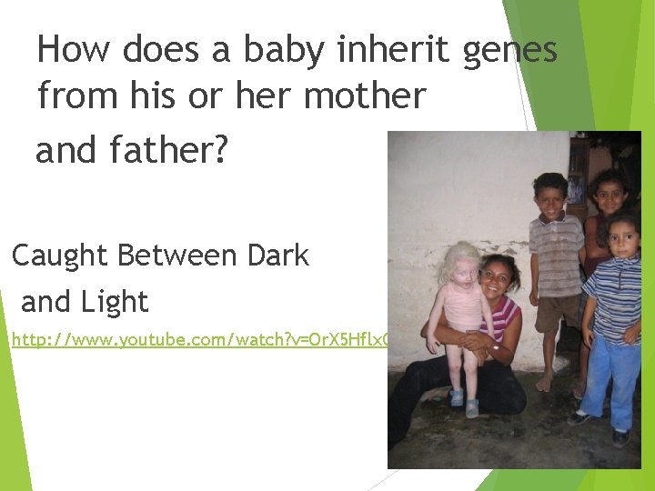 How does a baby inherit genes from his or her mother and father? Caught