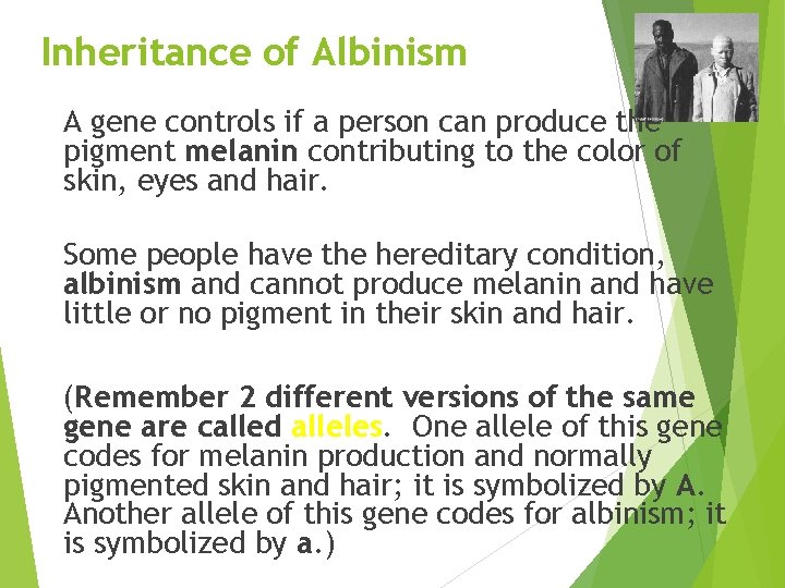 Inheritance of Albinism A gene controls if a person can produce the pigment melanin