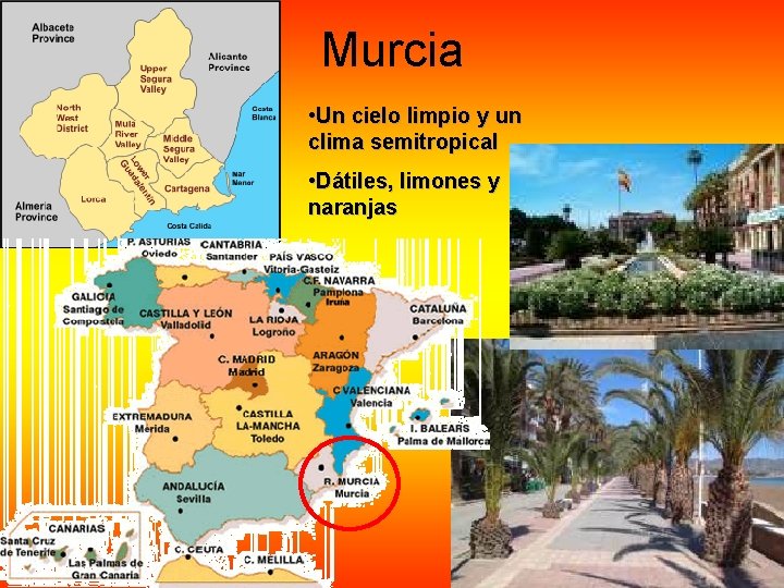 Murcia • Un cielo limpio y un clima semitropical • Dátiles, limones y naranjas Murcia • Un cielo limpio y un clima semitropical • Dátiles, limones y naranjas