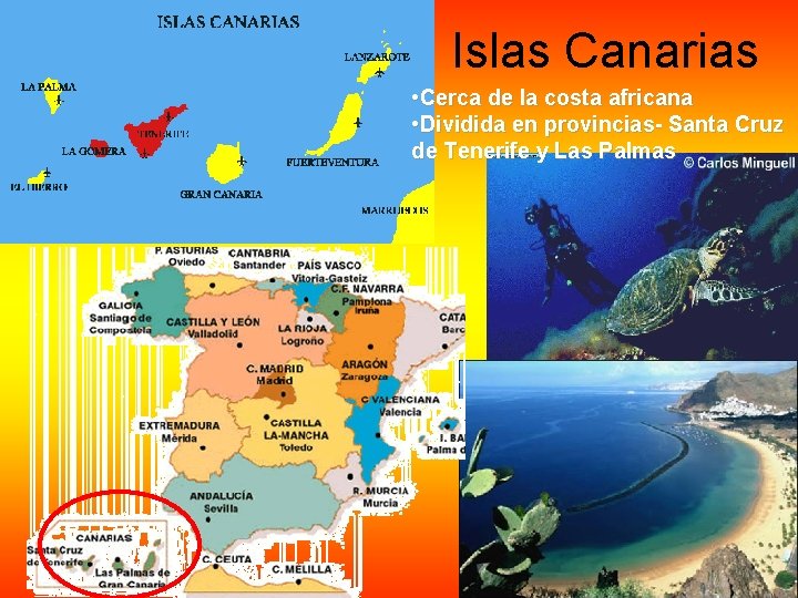Islas Canarias • Cerca de la costa africana • Dividida en provincias- Santa Cruz Islas Canarias • Cerca de la costa africana • Dividida en provincias- Santa Cruz