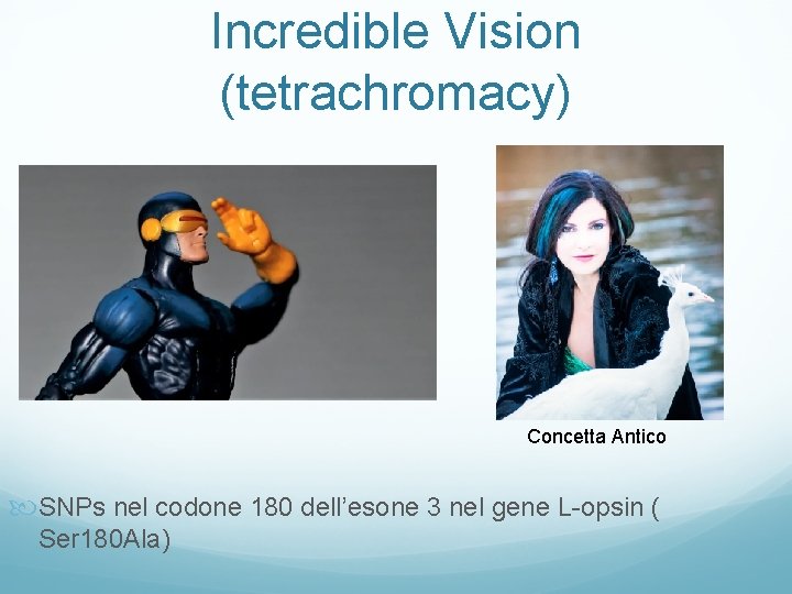 Incredible Vision (tetrachromacy) Concetta Antico SNPs nel codone 180 dell’esone 3 nel gene L-opsin