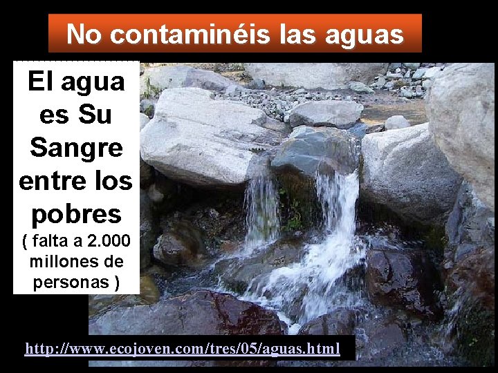 No contaminéis las aguas El agua es Su Sangre entre los http: //www. ecojoven.