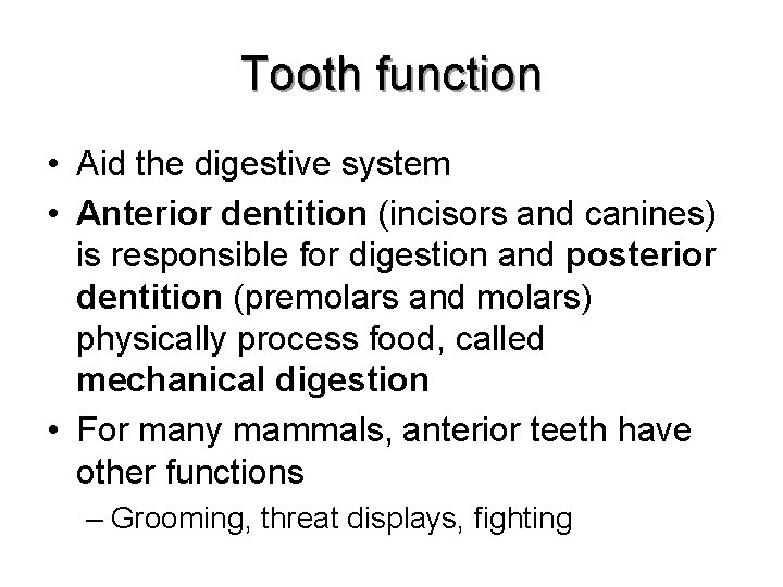 Tooth function • Aid the digestive system • Anterior dentition (incisors and canines) is Tooth function • Aid the digestive system • Anterior dentition (incisors and canines) is