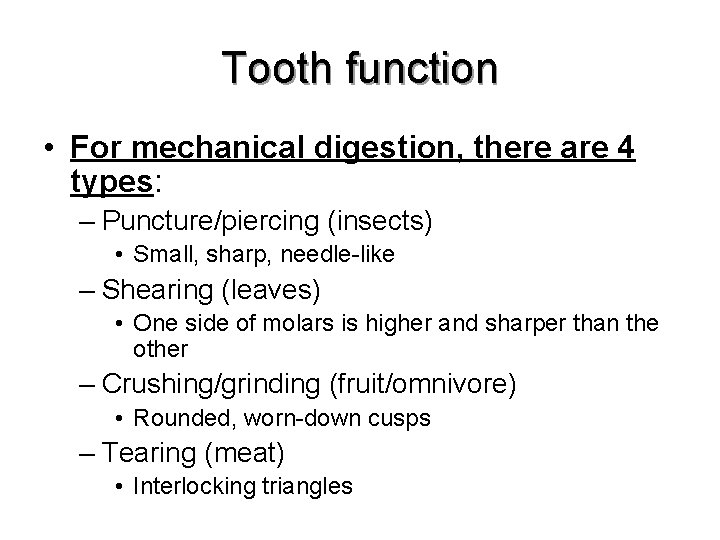 Tooth function • For mechanical digestion, there are 4 types: – Puncture/piercing (insects) • Tooth function • For mechanical digestion, there are 4 types: – Puncture/piercing (insects) •
