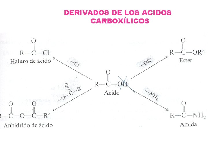 DERIVADOS DE LOS ACIDOS CARBOXÍLICOS 