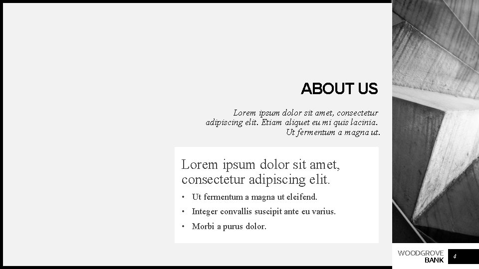 ABOUT US Lorem ipsum dolor sit amet, consectetur adipiscing elit. Etiam aliquet eu mi