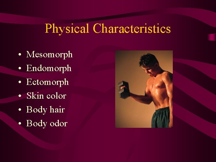 Physical Characteristics • • • Mesomorph Endomorph Ectomorph Skin color Body hair Body odor