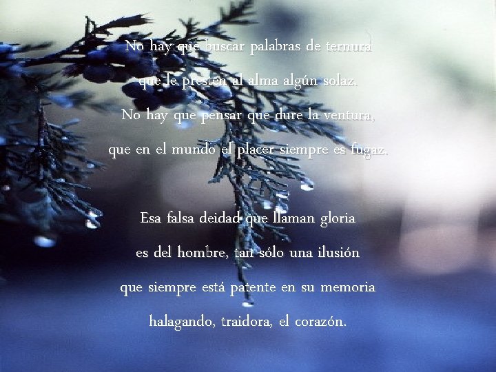 No hay que buscar palabras de ternura que le presten al alma algún solaz.