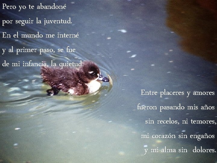 Pero yo te abandoné por seguir la juventud. En el mundo me interné y