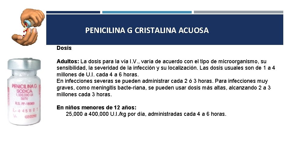 PENICILINA G CRISTALINA ACUOSA Dosis Adultos: La dosis para la vía I. V. ,