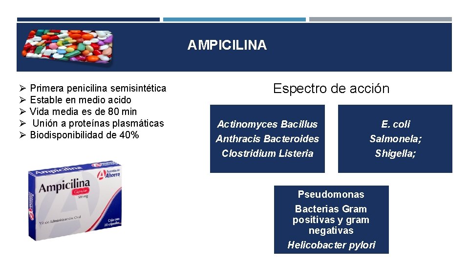 AMPICILINA Primera penicilina semisintética Estable en medio acido Vida media es de 80 min