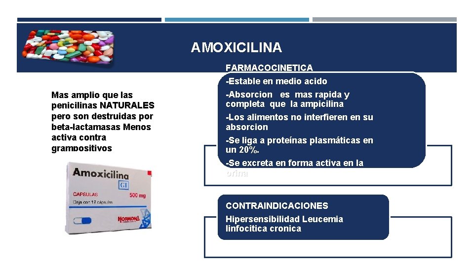 AMOXICILINA Mas amplio que las penicilinas NATURALES pero son destruidas por beta-lactamasas Menos activa