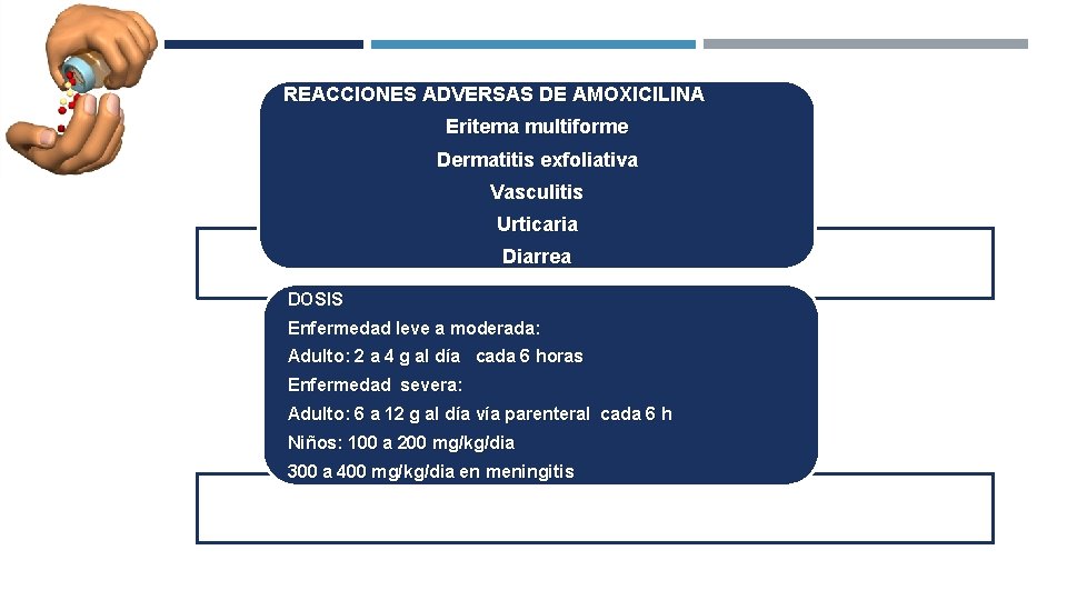 REACCIONES ADVERSAS DE AMOXICILINA Eritema multiforme Dermatitis exfoliativa Vasculitis Urticaria Diarrea DOSIS Enfermedad leve