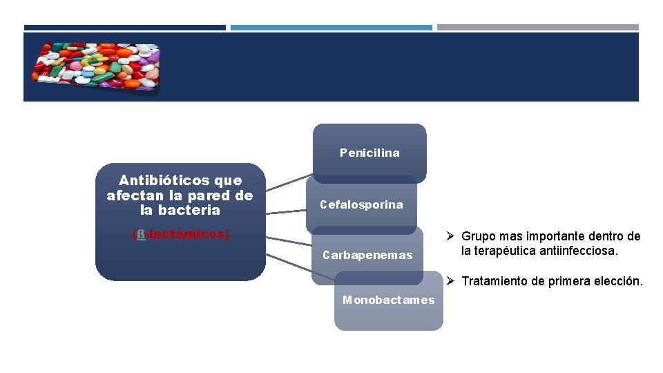 Penicilina Antibióticos que afectan la pared de la bacteria Cefalosporina (ß-lactámicos) Carbapenemas Grupo mas