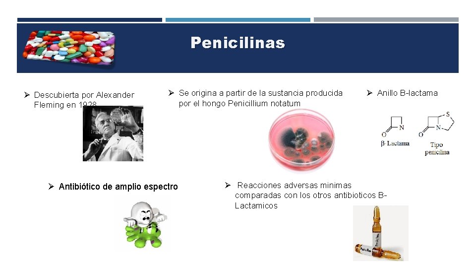 Penicilinas Descubierta por Alexander Fleming en 1928 Se origina a partir de la sustancia