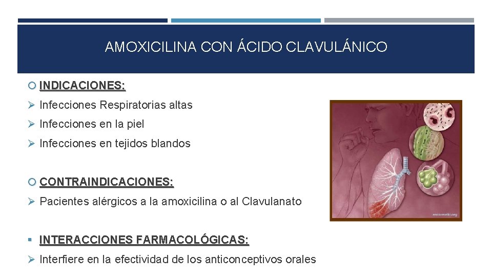 AMOXICILINA CON ÁCIDO CLAVULÁNICO INDICACIONES: Infecciones Respiratorias altas Infecciones en la piel Infecciones en