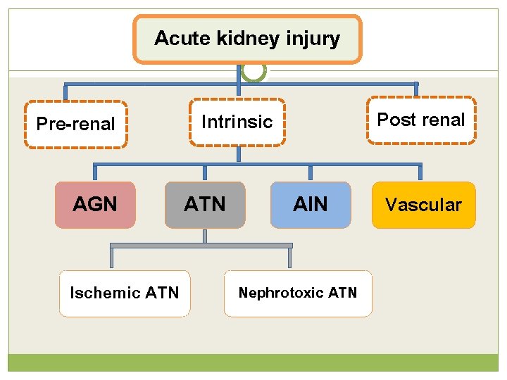 Acute kidney injury Pre-renal AGN Ischemic ATN Post renal Intrinsic ATN AIN Nephrotoxic ATN