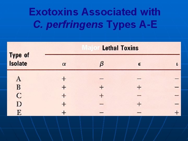 Exotoxins Associated with C. perfringens Types A-E Major 