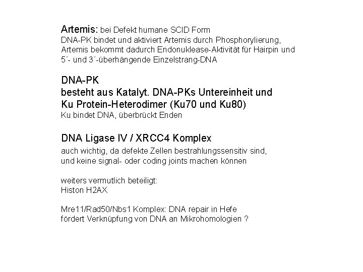 Artemis: bei Defekt humane SCID Form DNA-PK bindet und aktiviert Artemis durch Phosphorylierung, Artemis