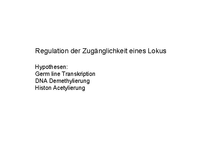 Regulation der Zugänglichkeit eines Lokus Hypothesen: Germ line Transkription DNA Demethylierung Histon Acetylierung 