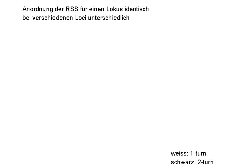 Anordnung der RSS für einen Lokus identisch, bei verschiedenen Loci unterschiedlich weiss: 1 -turn