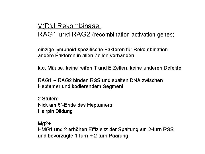 V(D)J Rekombinase: RAG 1 und RAG 2 (recombination activation genes) einzige lymphoid-spezifische Faktoren für