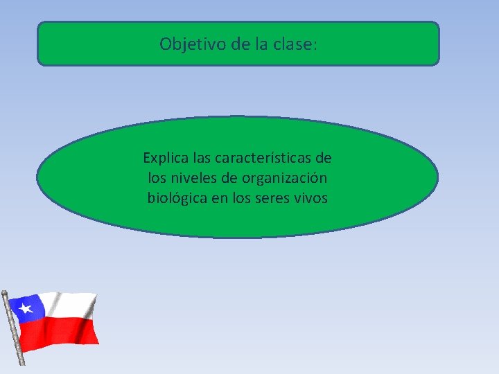 Objetivo de la clase: Explica las características de los niveles de organización biológica en