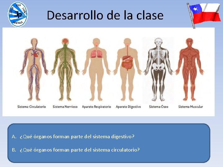 Desarrollo de la clase A. ¿Qué órganos forman parte del sistema digestivo? B. ¿Qué