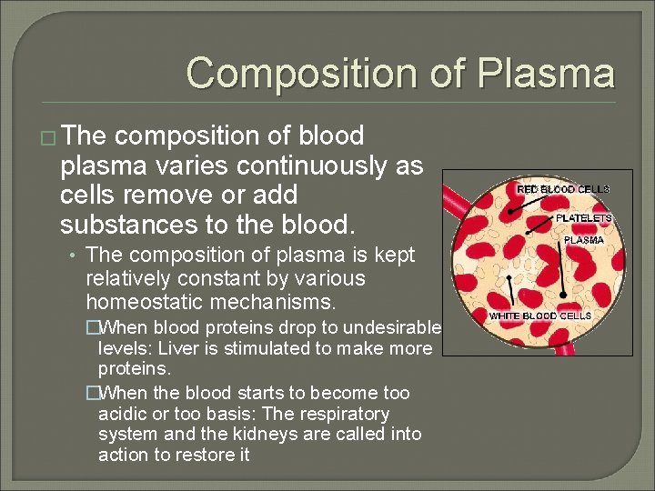 Composition of Plasma � The composition of blood plasma varies continuously as cells remove