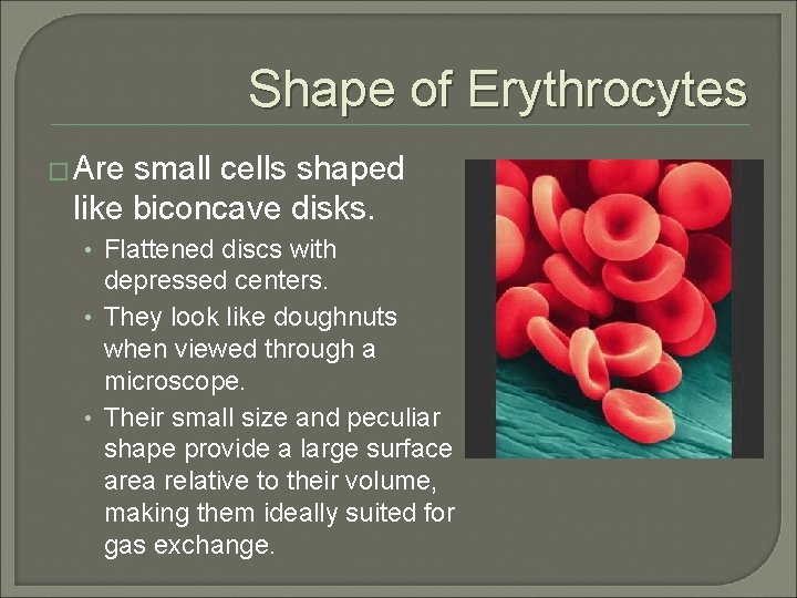 Shape of Erythrocytes � Are small cells shaped like biconcave disks. • Flattened discs